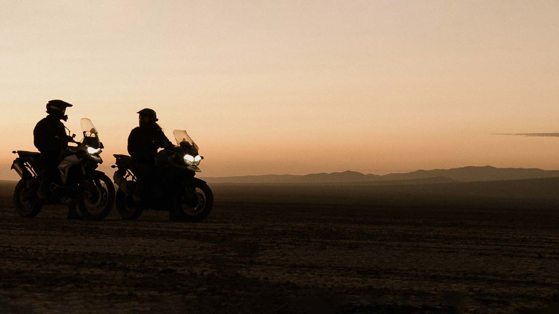 Dealership Search For the Ride